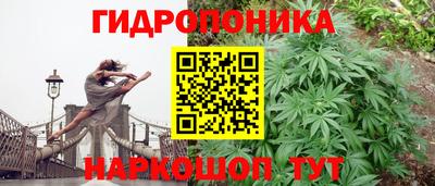 эйфоретик Шахты