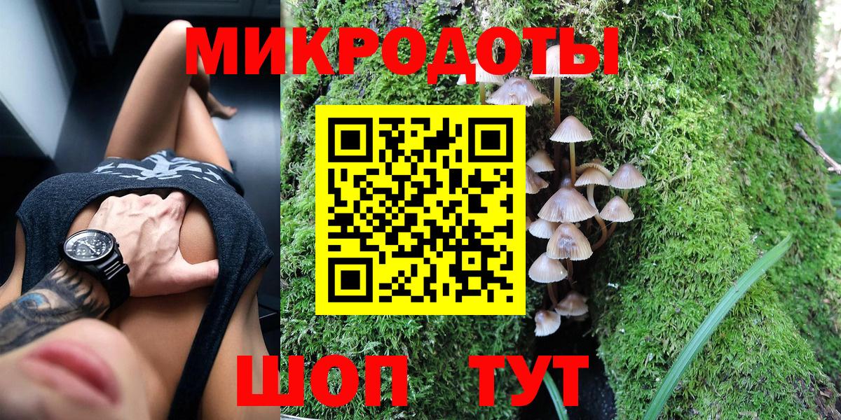 Галлюциногенные грибы Psilocybe Рубцовск