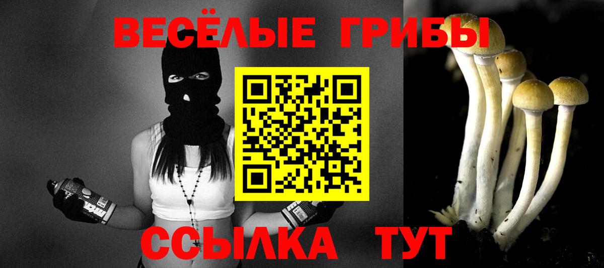 дарнет шоп  Галлюциногенные грибы Psilocybine cubensis  Галлюциногенные грибы Psilocybe  Вход с VPN  Рубцовск 